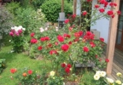 Bild Garten2 Riemann
