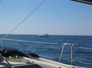 Hier dürften nicht auf das offene Meer - ein Polizeiboot sichert ein Nato Manöver