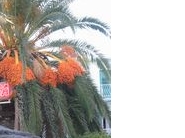 Darunter verbirgt sich eines der besten Restaurants in Hafennähe. Nicht zu verfehlen.