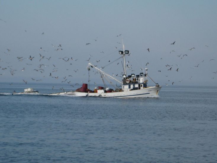 Die einen kommen und wir gehen