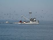 Die einen kommen und wir gehen